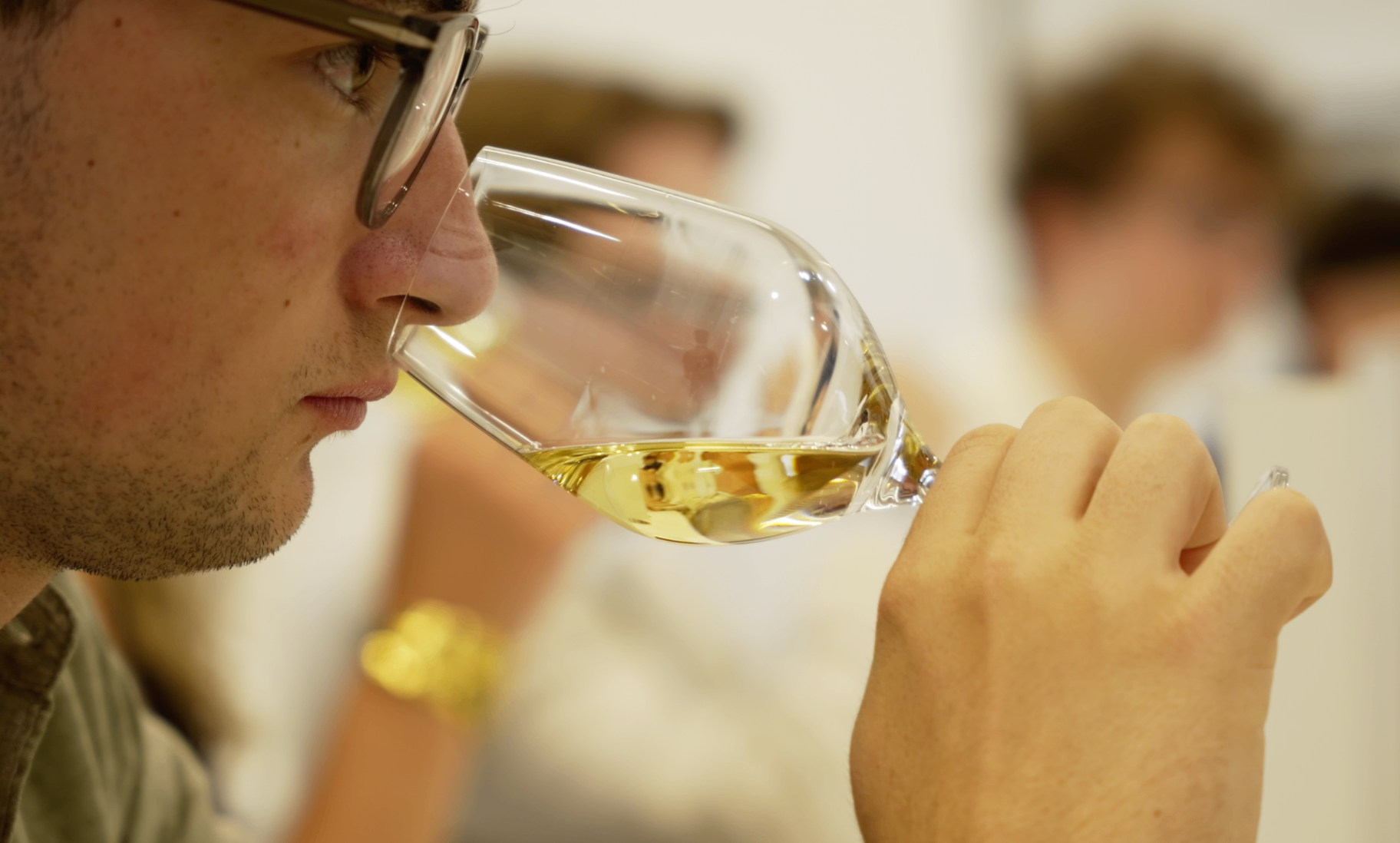 Gros plan d'un membre à lunettes humant un verre de vin blanc