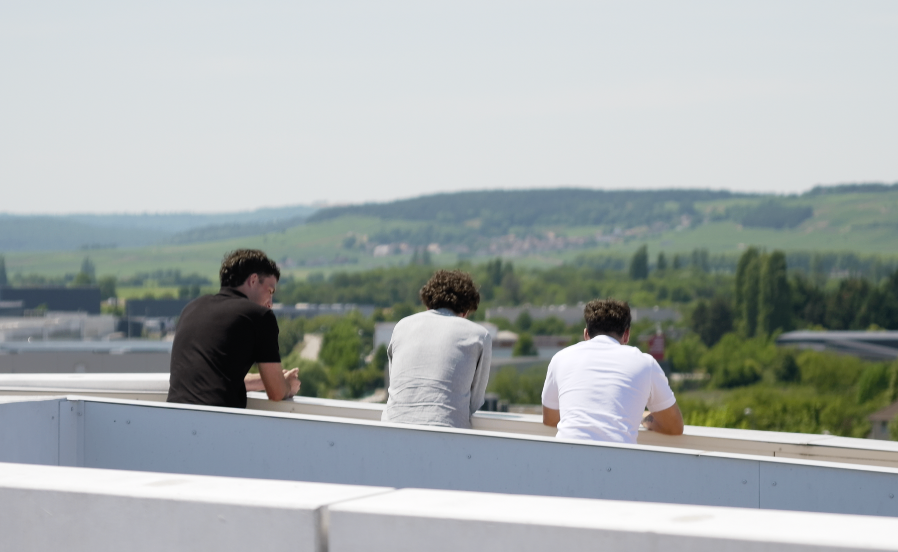Membres sur le rooftop vus de dos face aux vignes