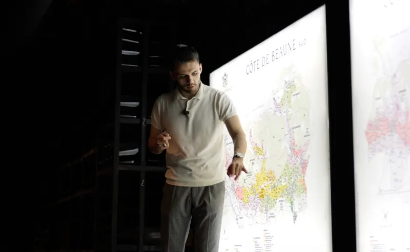 Présentation Côte de Beaune dans les caves