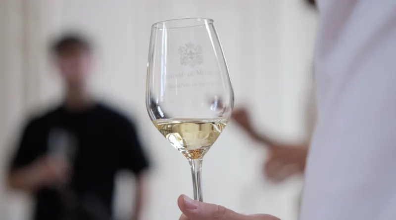 Verre Château de Meursault - Grand Vin de Bourgogne