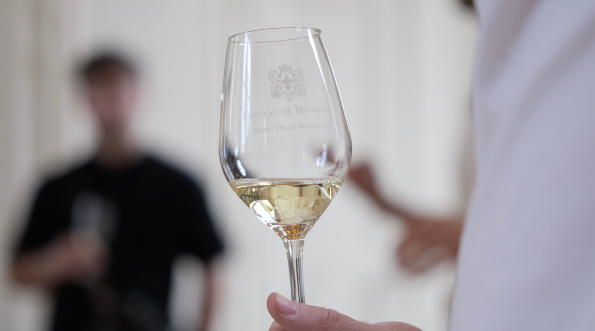 Dégustation à Meursault